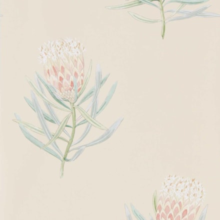 Tapet Curios Protea Flower Russet/green Dart216329