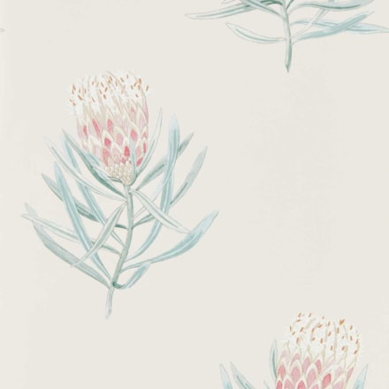 Tapet Curios Protea Flower Porcelain/blush Dart216330