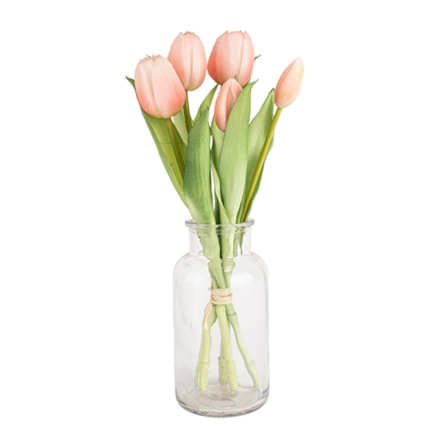 Konstväxt Snittblomma Tulpan Rosa, 30cm, 5st