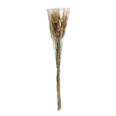 Dekoration Bollblomma Beige, 50cm, 12st