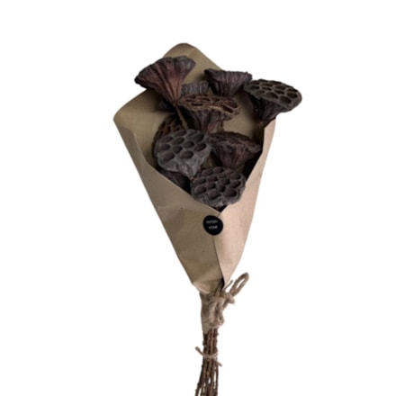 Dekoration Torkad Lotus Pod 60cm, 10st