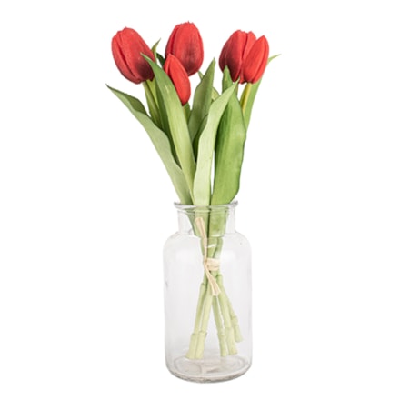Konstväxt Snittblomma Tulpan Röd, 30cm, 5st
