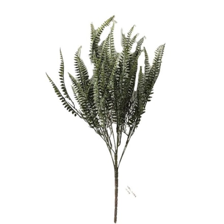 Konstväxt Ormbunke Kvistgrön, 56cm