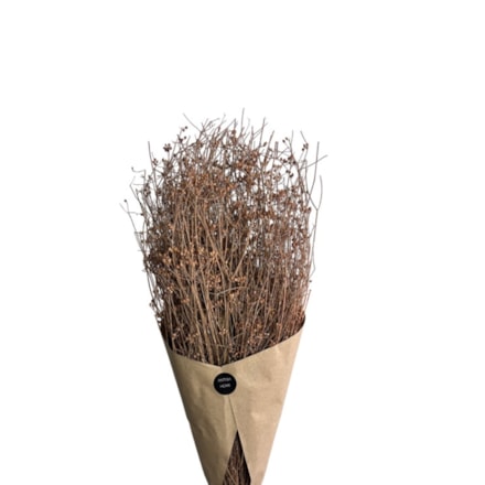Konstväxt Parsi Grass Salmon, 70cm