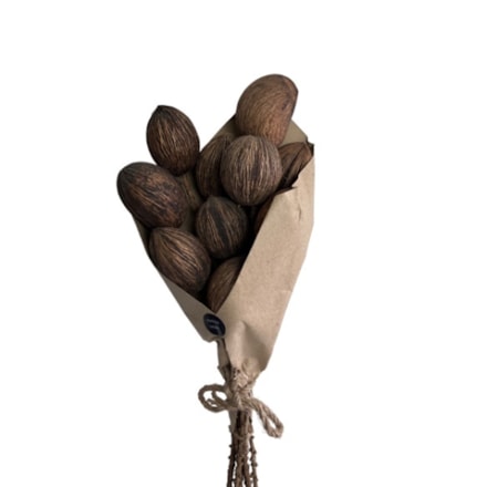 Konstväxt Mintola Twig Stem Brun, 60cm