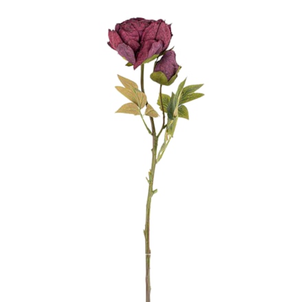 Konstväxt Peony Mörklila, 62cm