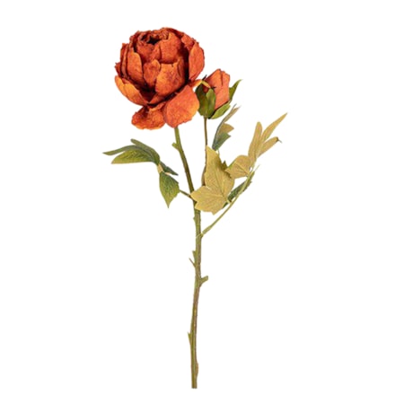 Konstväxt Peony Rost, 62cm