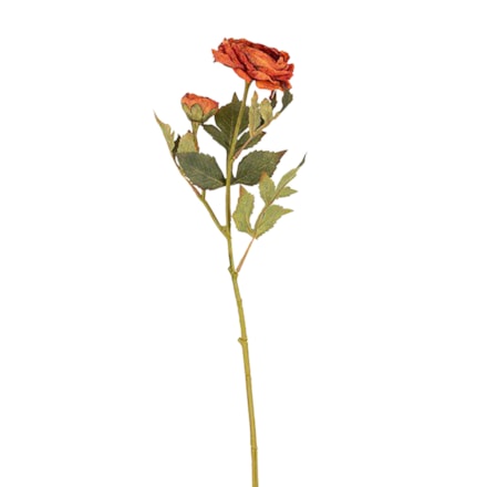 Konstväxt Ranculus Orange, 56cm