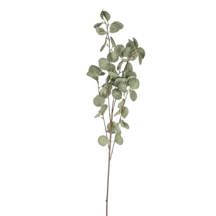 Konstväxt Eucalyptus Grön, 88cm