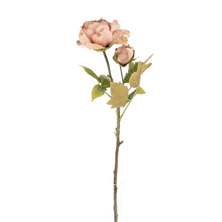 Konstväxt Peony Gammelrosa, 62cm