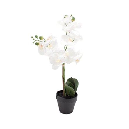 Konstväxt Orkide 60cm
