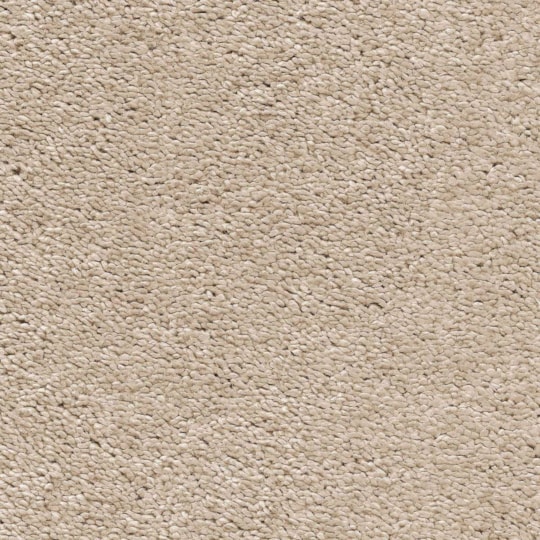 Heltäckningsmatta Invictus Magnificus 35 400cm, Brun