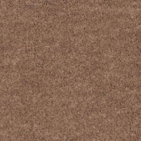 Heltäckningsmatta Sensualité Obsession 36 400cm, Brun