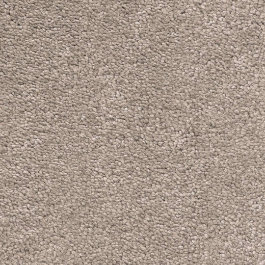 Heltäckningsmatta Invictus Magnificus 37 400cm, Brun