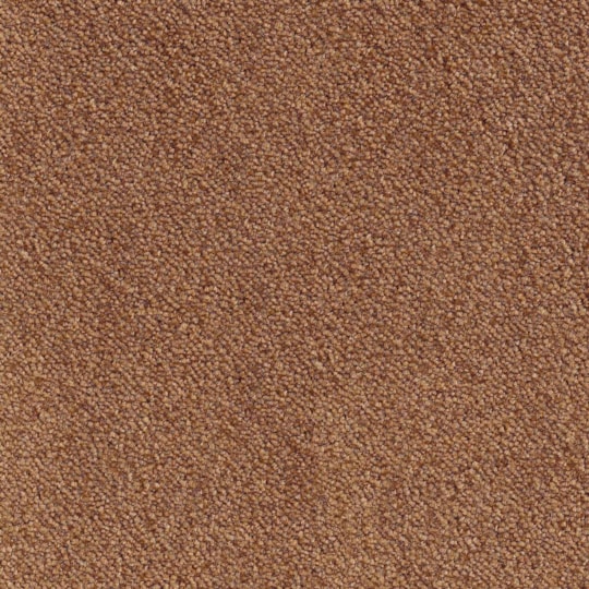 Heltäckningsmatta World Life Ambience 38 400cm, Brun