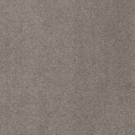 Heltäckningsmatta Sedna Kai 39 400cm, Brun