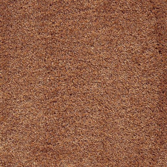 Heltäckningsmatta World Life Lounge 48 400cm, Brun