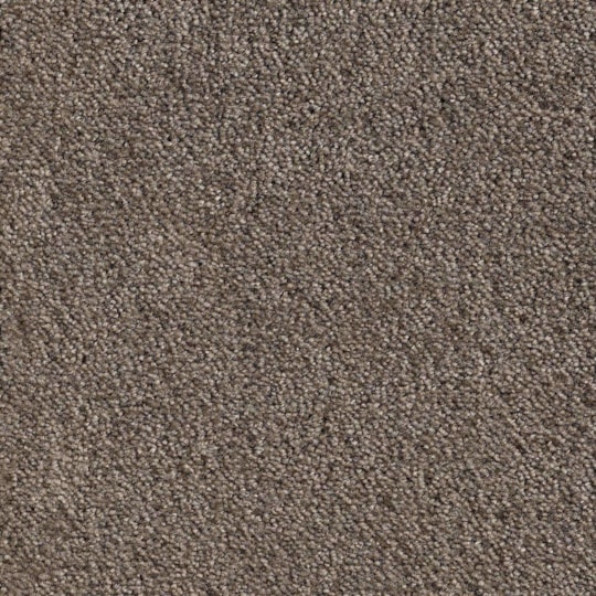 Heltäckningsmatta Simple Life Ambience 49 400cm, Brun