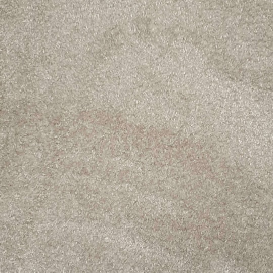 Heltäckningsmatta Sensualité Sensation 39 400cm, Grå