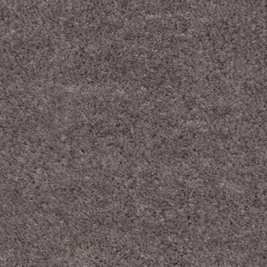 Heltäckningsmatta Sensualité Obsession 45 400cm, Grå