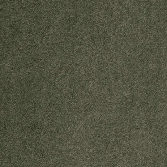 Heltäckningsmatta Sedna Kai 29 500cm, Grön