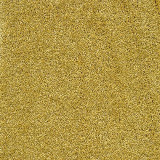 Heltäckningsmatta World Life Lounge 54 400cm, Grön