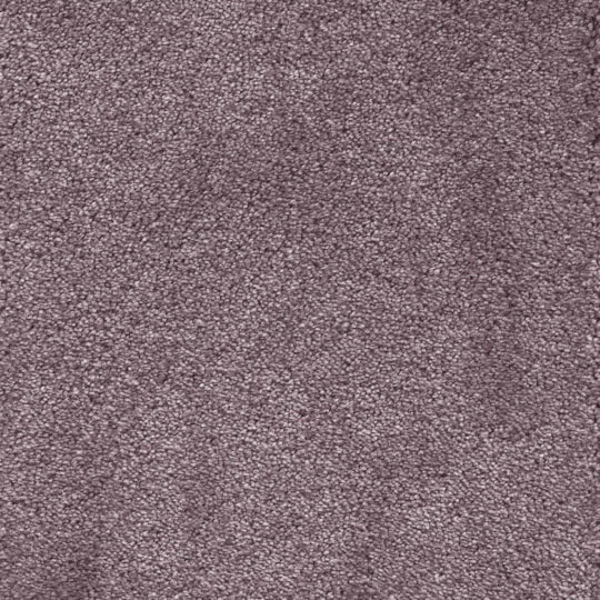 Heltäckningsmatta City Life Lounge 65 500cm, Lila