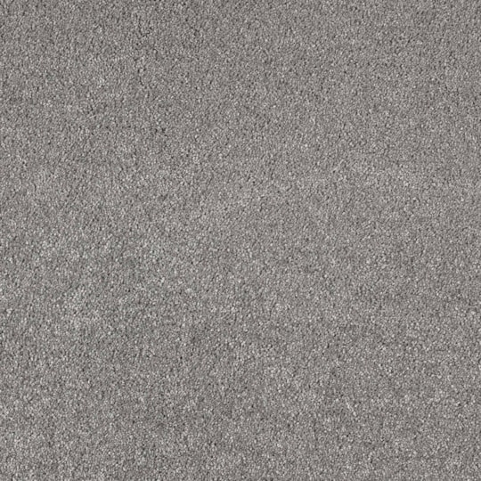 Heltäckningsmatta Invictus Magnificus 97 400cm, Mörkgrå