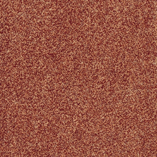 Heltäckningsmatta World Life Glory 84 500cm, Röd