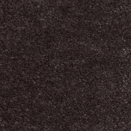 Heltäckningsmatta Sensualité Obsession 43 400cm, Svart