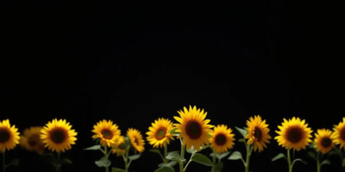 Semestertider Företagscenter