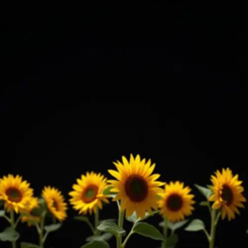 Semestertider Företagscenter