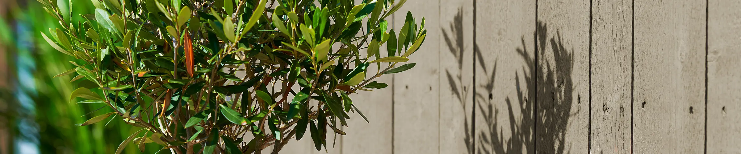 Måla huset beige eller grått!