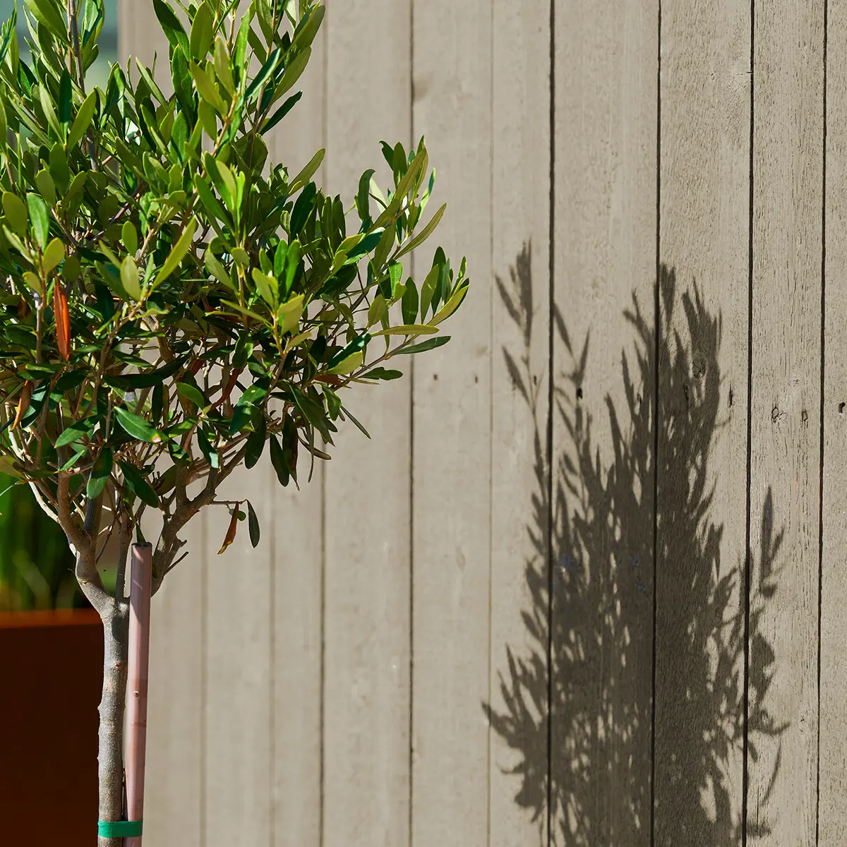 Måla huset beige eller grått – kulörinspiration från Stuvbutiken