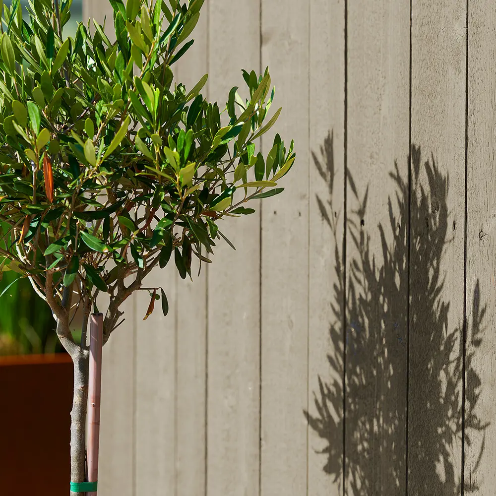 Kulörinspriration beige & grå hus