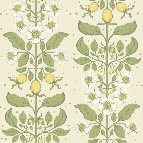 Midbec Saltviken Rosa 48010