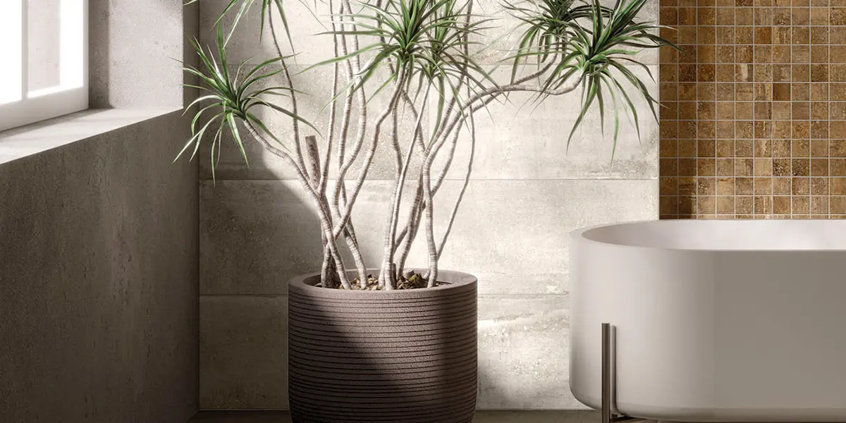 Otroliga priser på klinkers